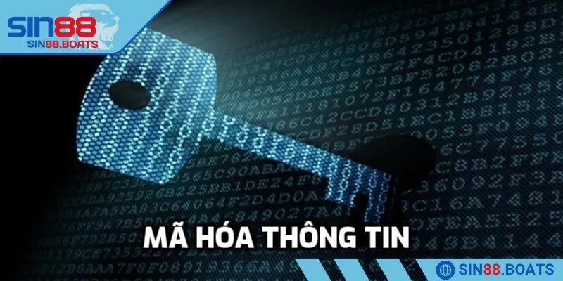 Mã hóa và bảo vệ thông tin của bet thủ