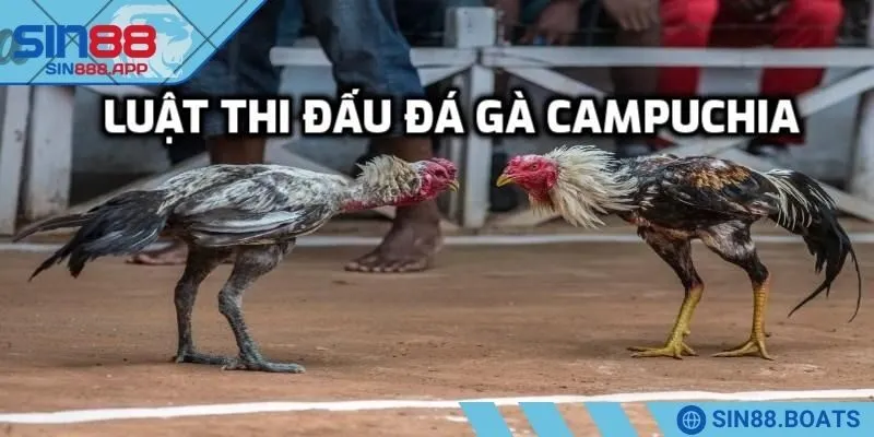Thời gian thi đấu, quy định phân thắng thua