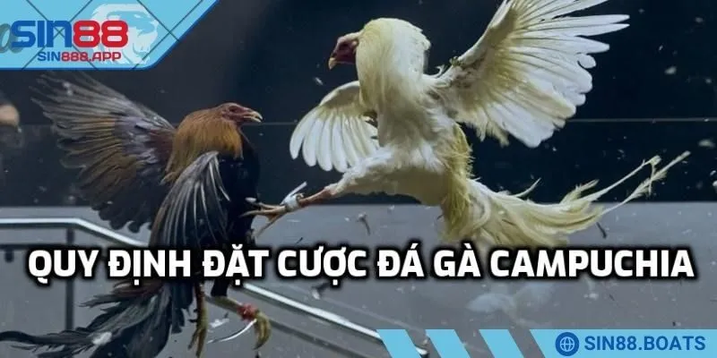 Cược đá gà campuchia được chia thành ba loại chính