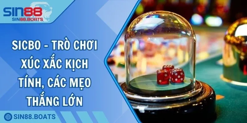 Sicbo - Trò Chơi Xúc Xắc Kịch Tính, Các Mẹo Thắng Lớn